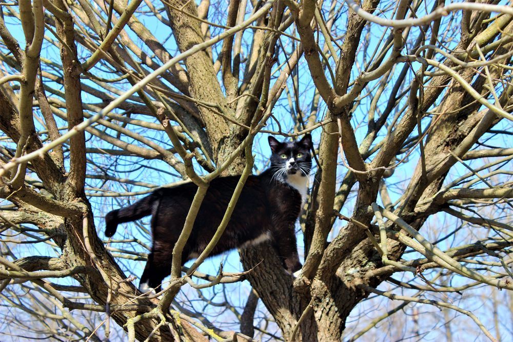 Photograph by Екатерина Апрелева