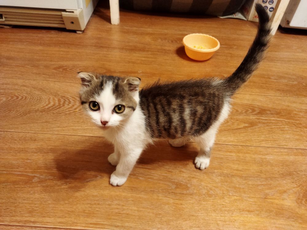 Photograph by Наталья Конюхова