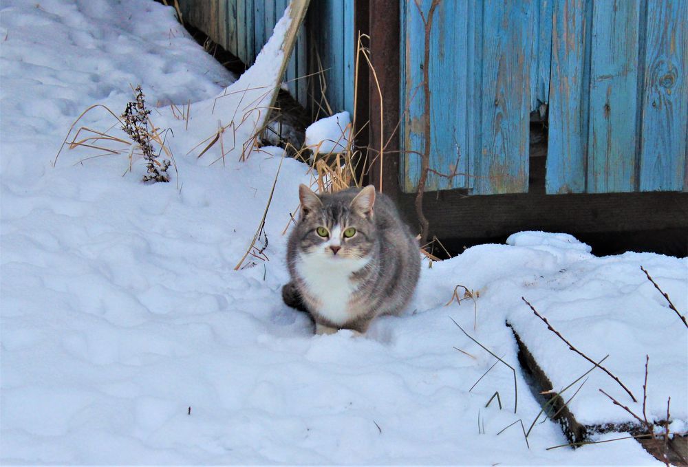 Photograph by Екатерина Апрелева