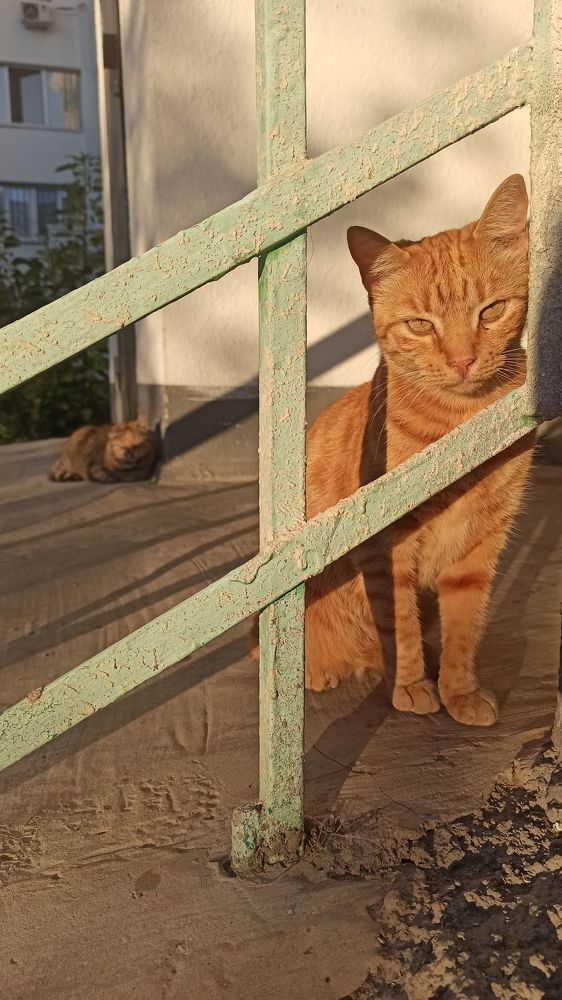 Photograph by Светлана Акимова