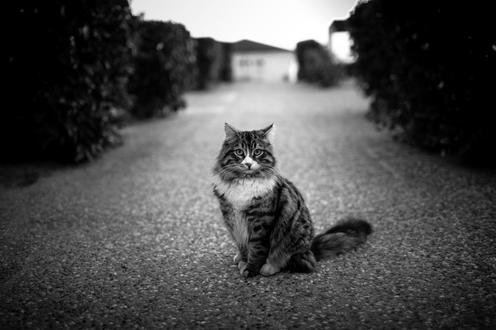 Photograph by Ruslan Dubinovskii