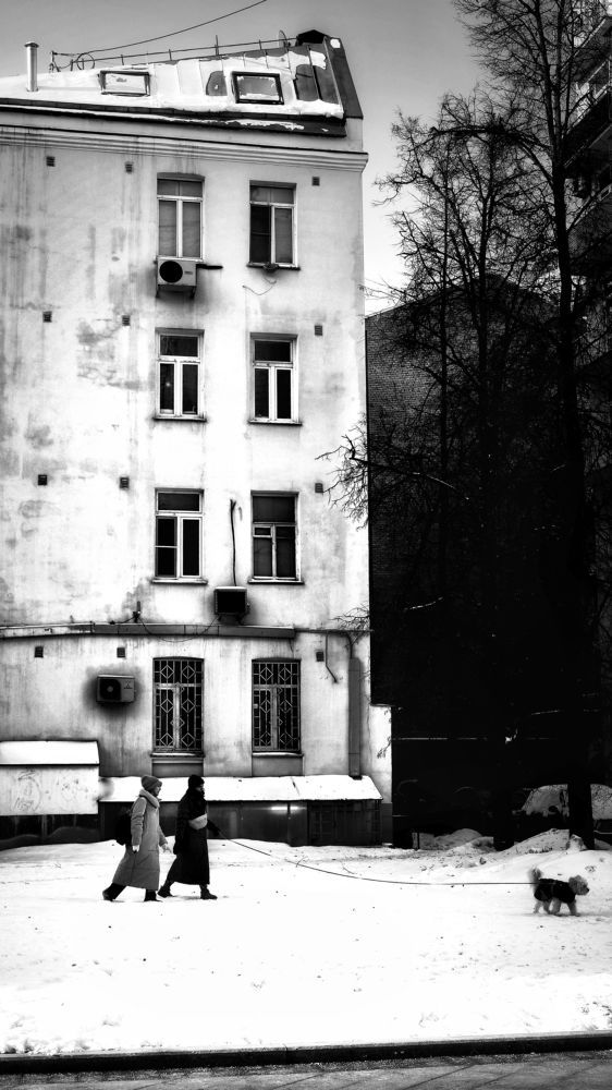 Photograph by Данил Макаренко