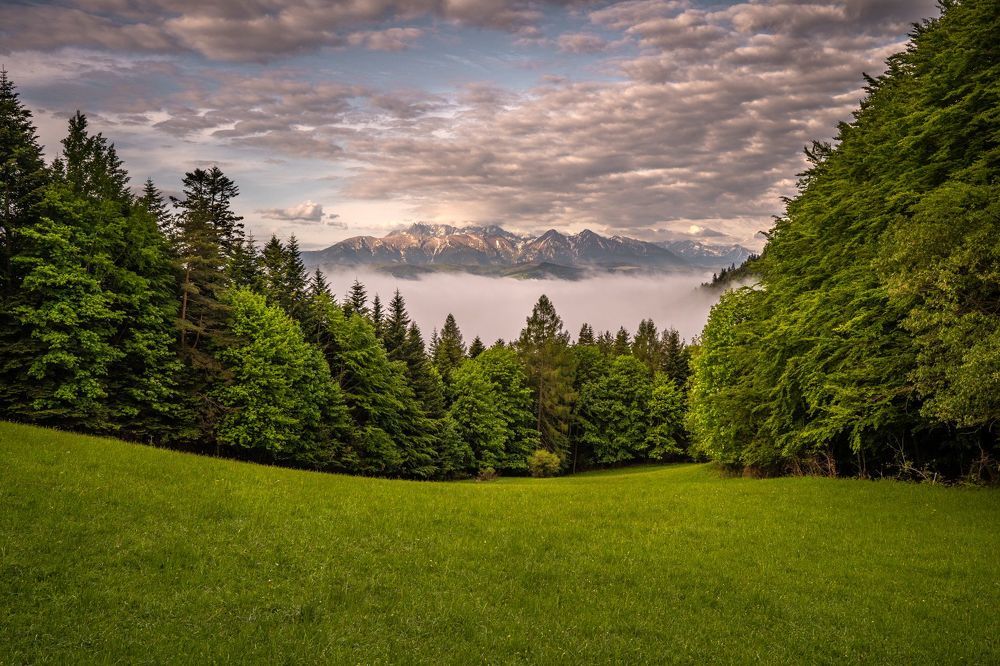 window to the mountains