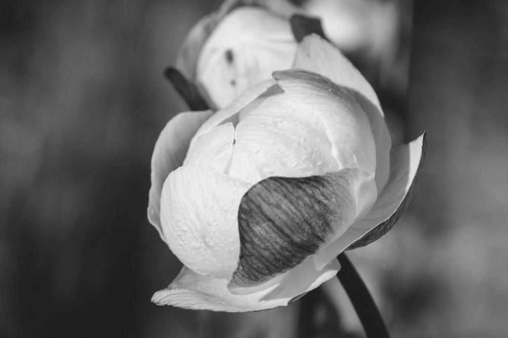 Photograph by Олег Буторин