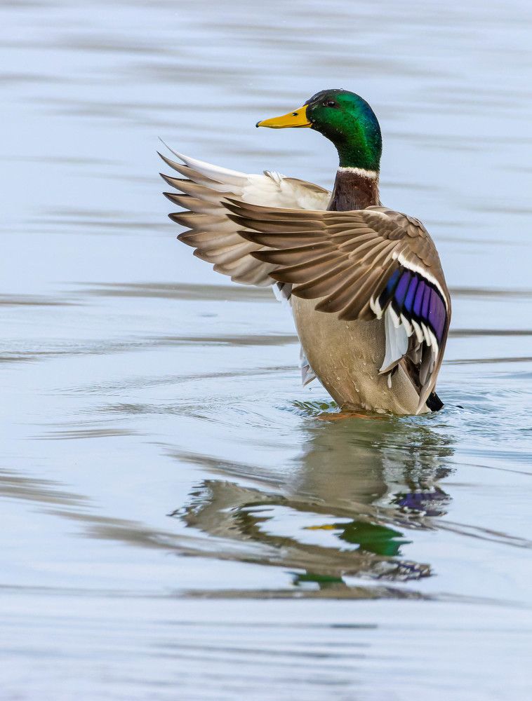 Photograph by Tamás Farkas