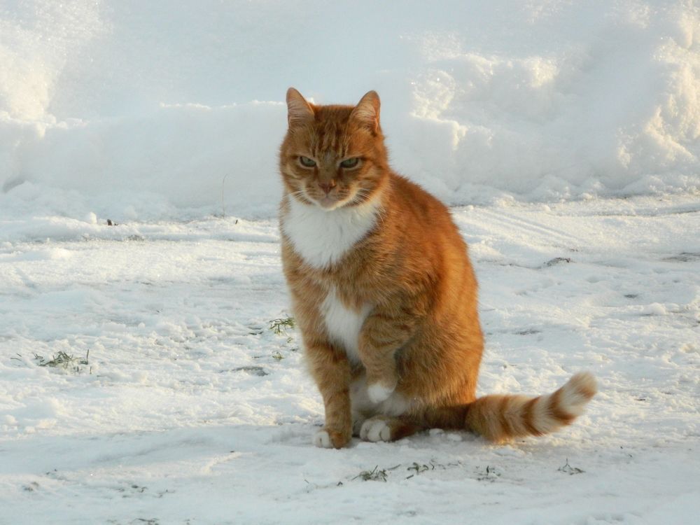 Photograph by Илья Воякин