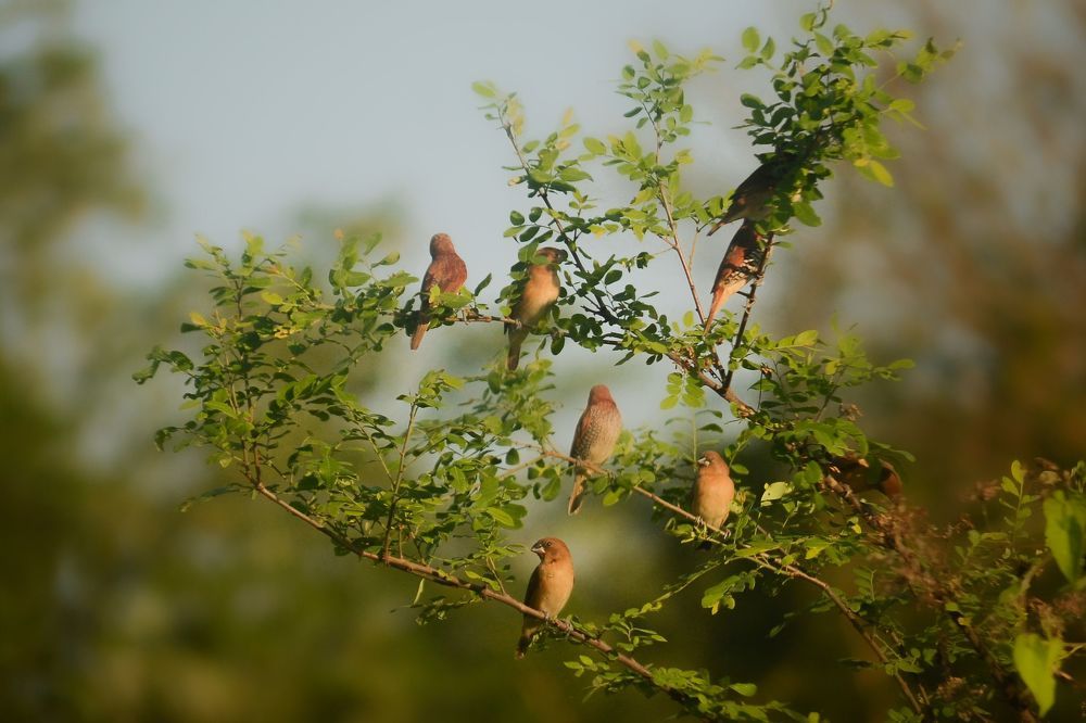 Photograph by Kasun Wickramasinghe