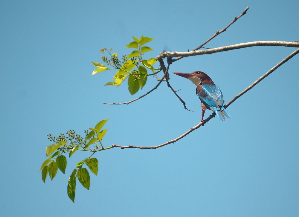 Photograph by Kasun Wickramasinghe