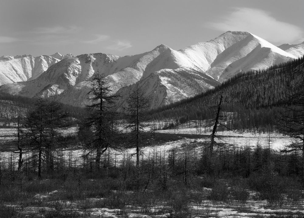 Photograph by Александр Попов