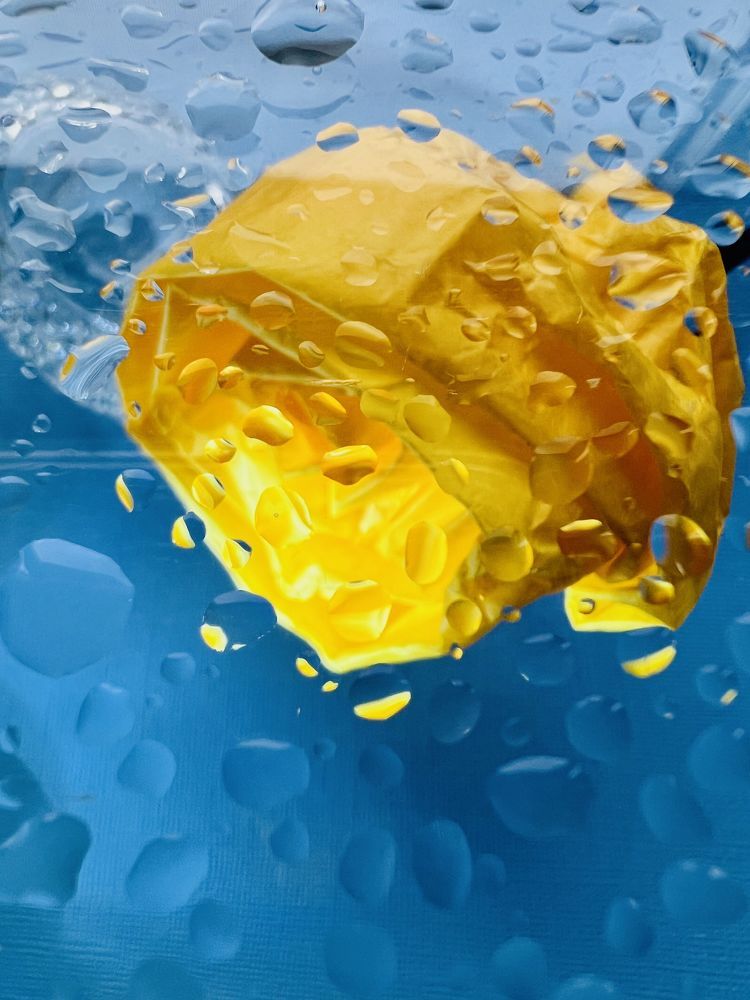 Photograph by LenaBri