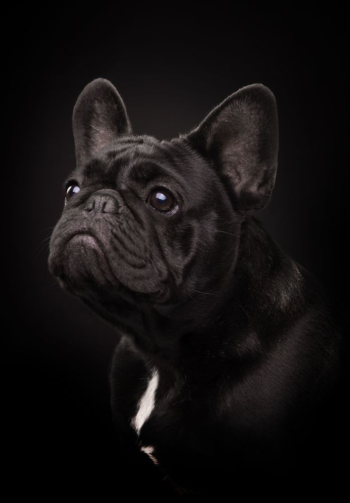 Photograph by Katerina Mumzhinskaya