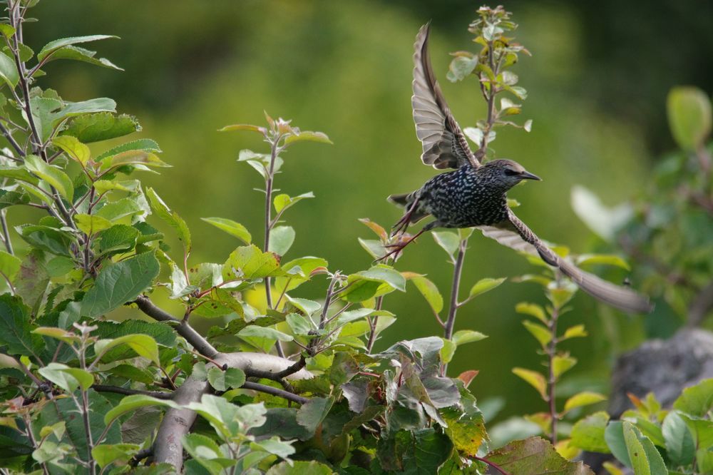 Photograph by Bartosz Adamowski