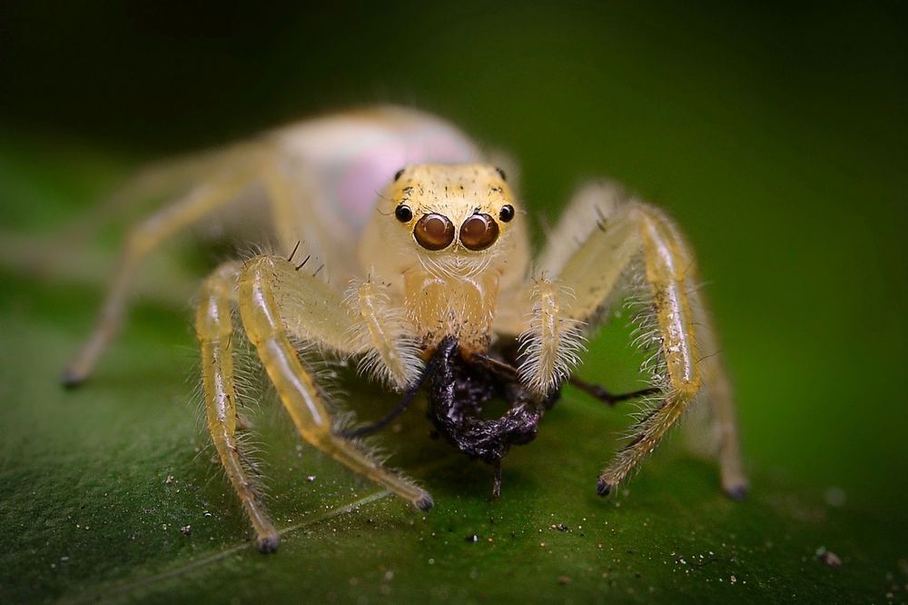 Photograph by Kasun Wickramasinghe