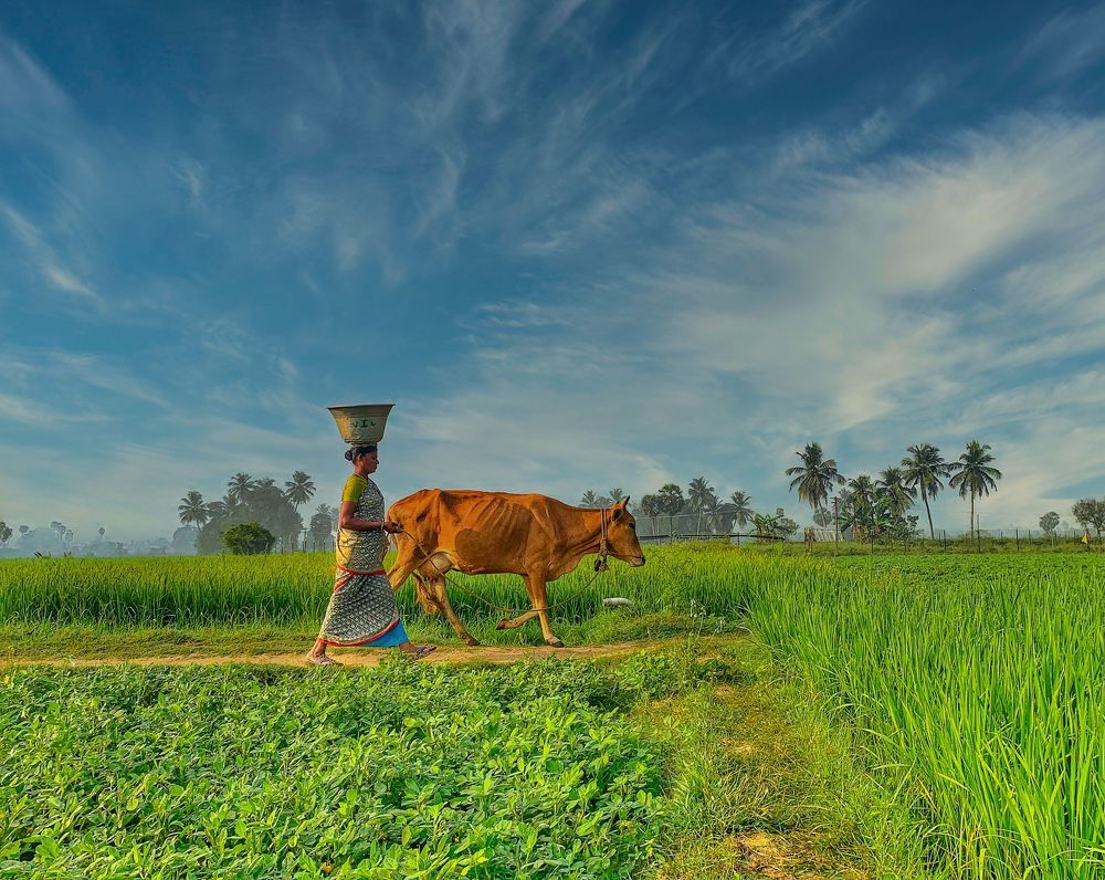 Photograph by damaraju manoj