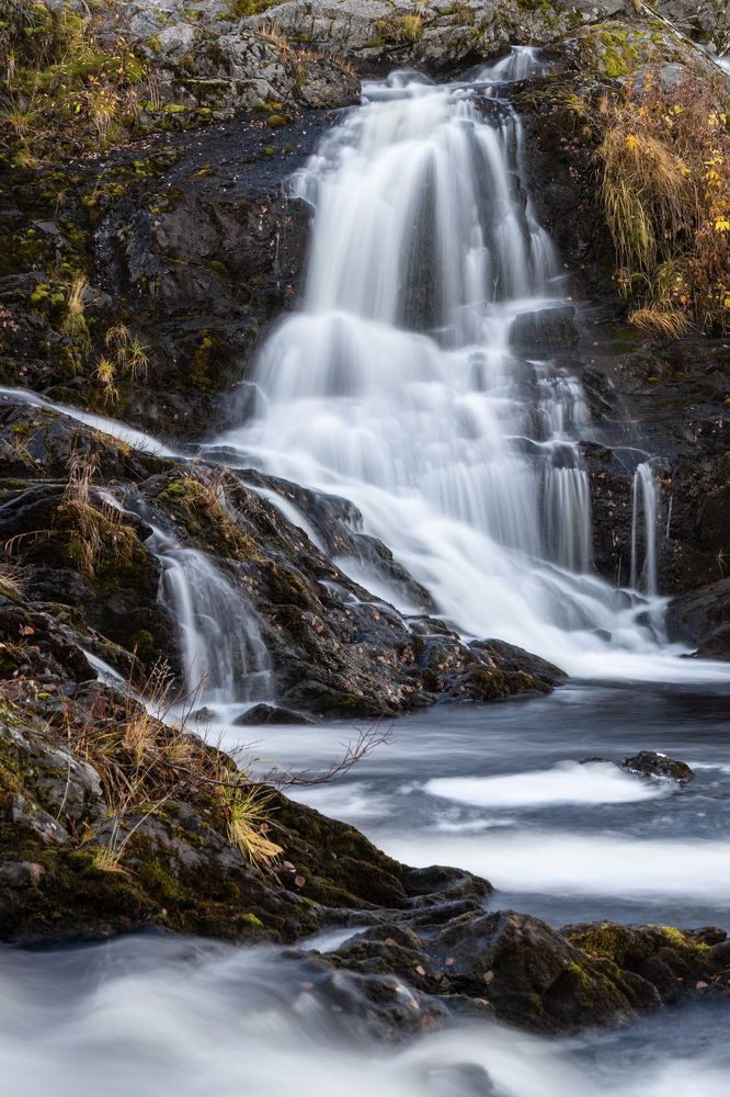 Фотография автора Андрей Русских