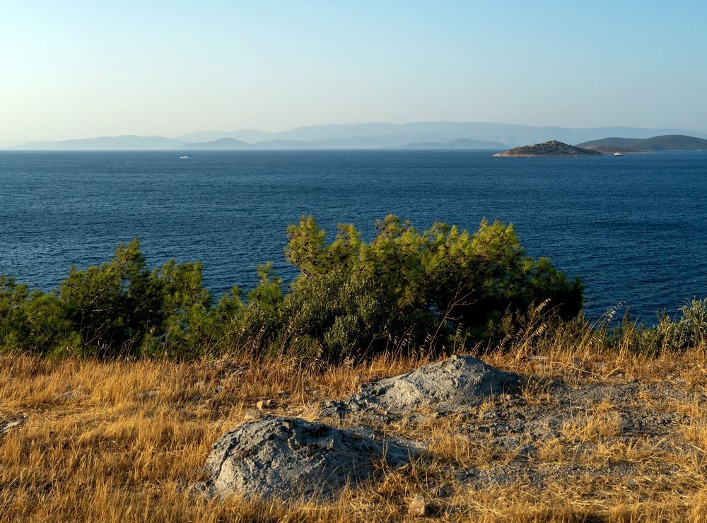 Photograph by Игорь Лобанов