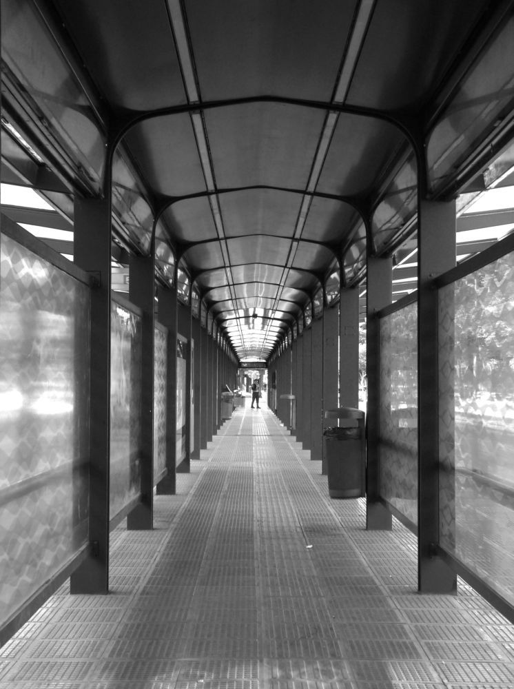 Photograph by GLEYDA GUTIÉREZ