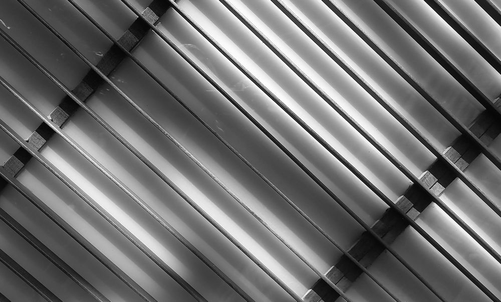 Photograph by GLEYDA GUTIÉREZ