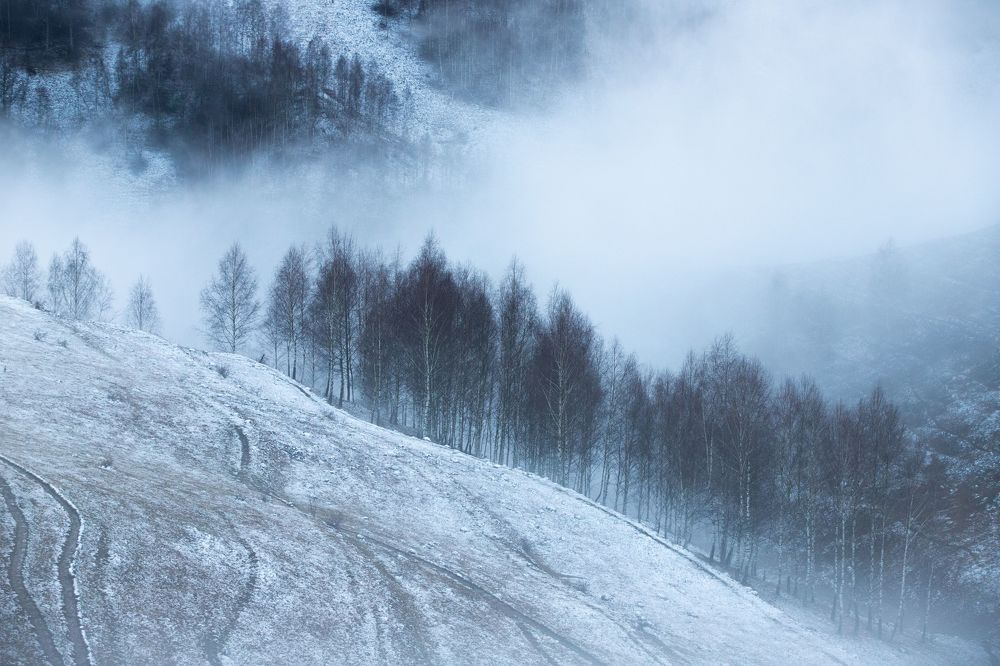 Photograph by Mihai Romeo Bogdan