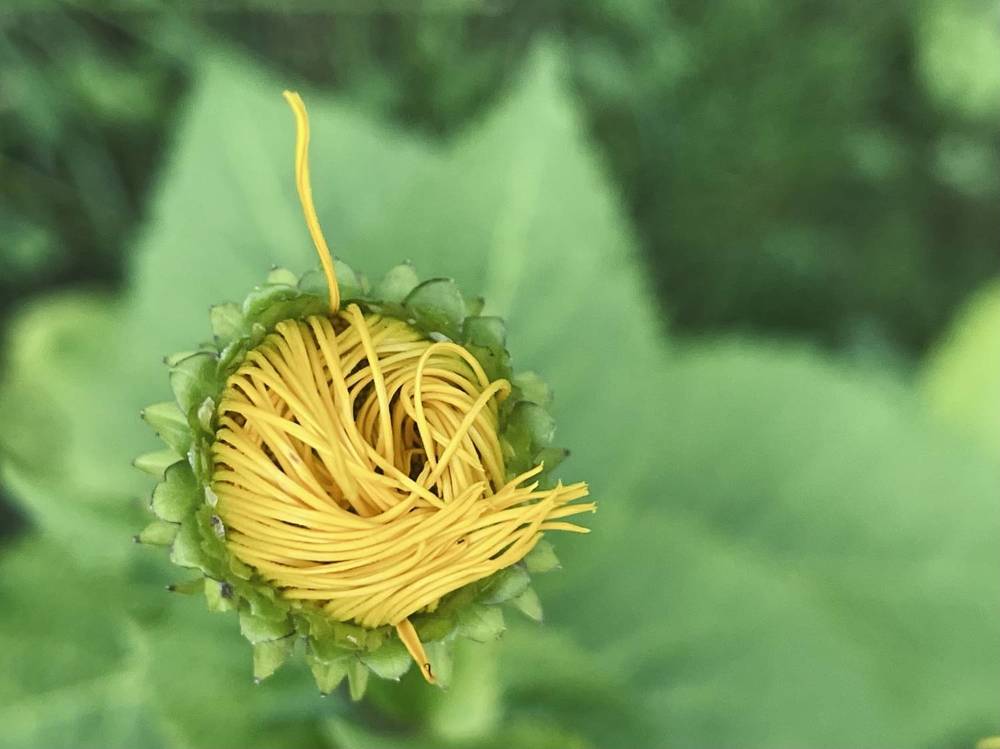 Быть на своей скорости