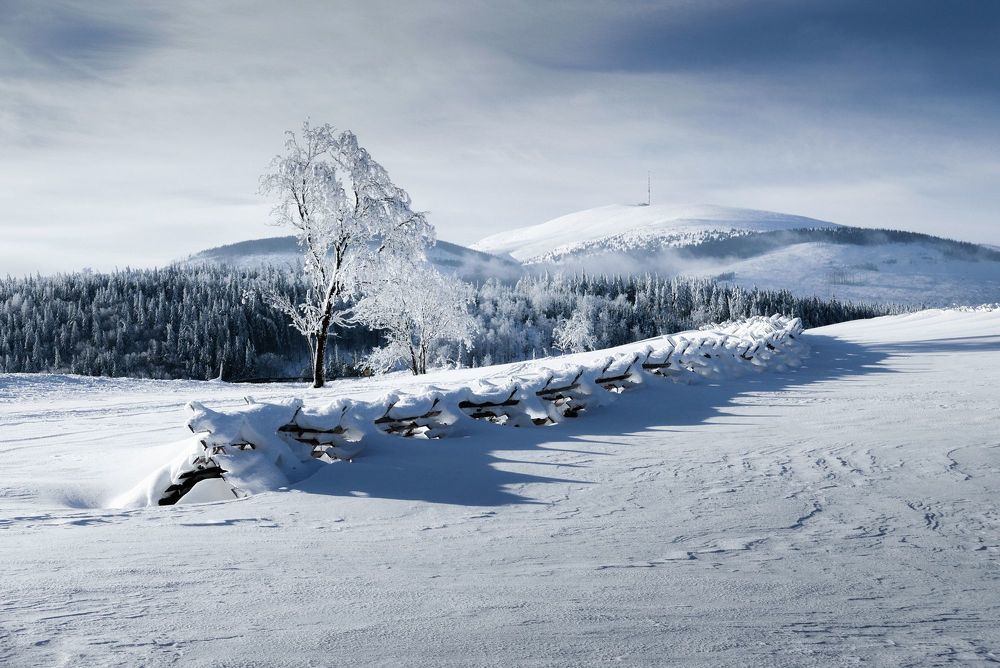 Photograph by David Ilkovic