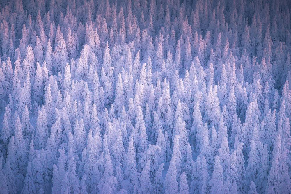 Photograph by Даниил Силантьев