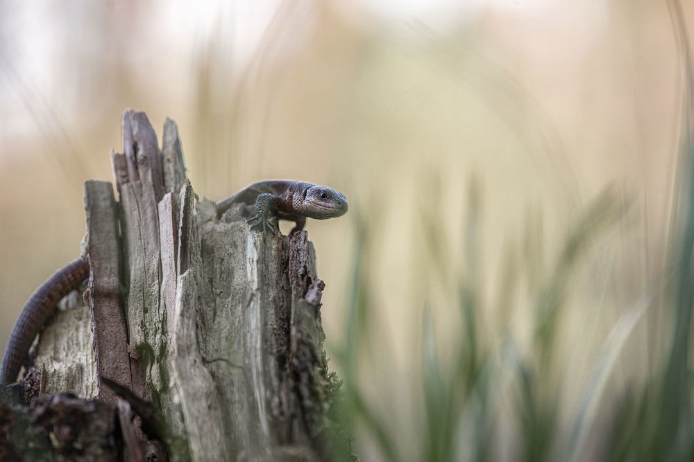 Photograph by Чорный Александр