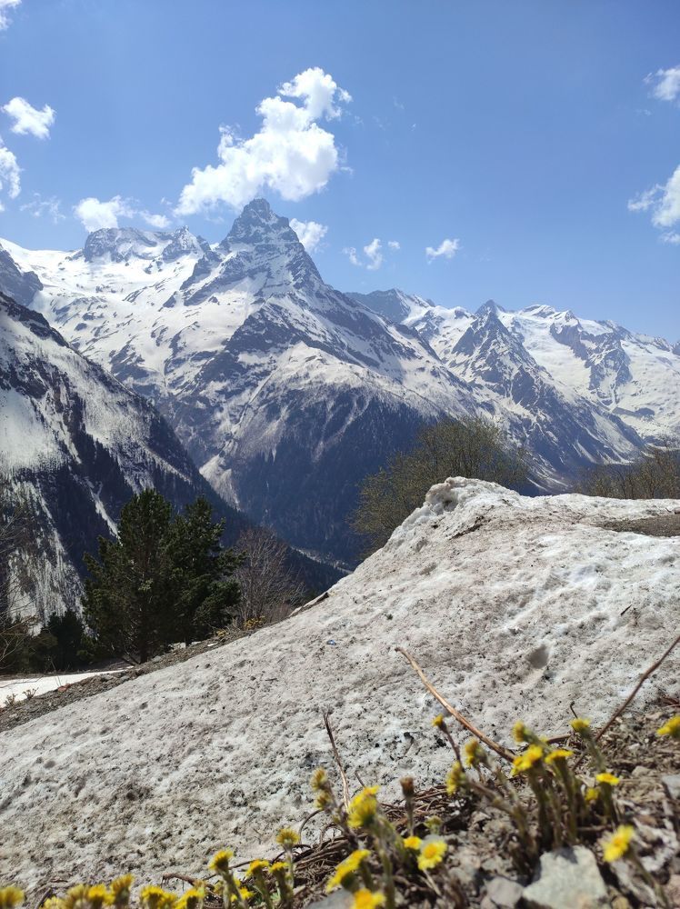 Photograph by Феофилактова Валя