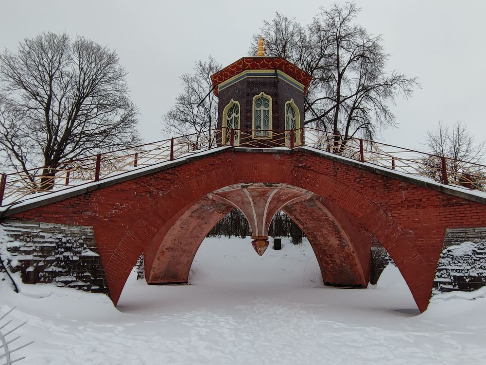 Фотография автора Ирина Долгополова