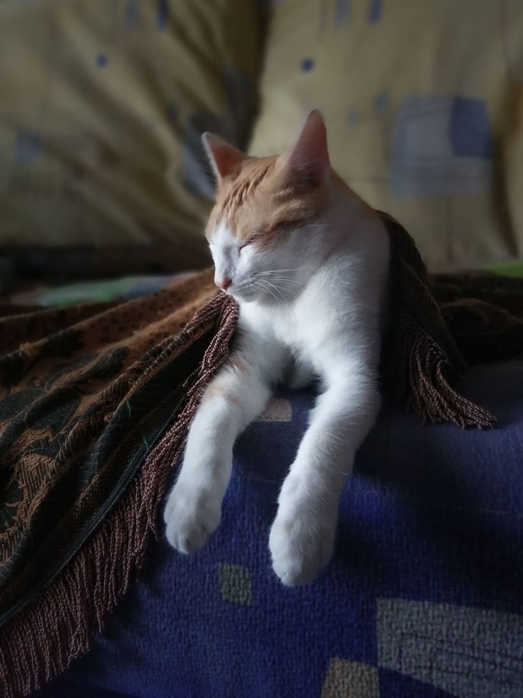 Photograph by Ольга Мокрова