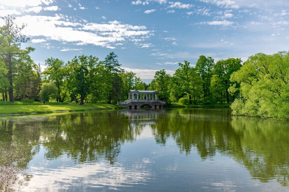 Photograph by Наталья Вялых