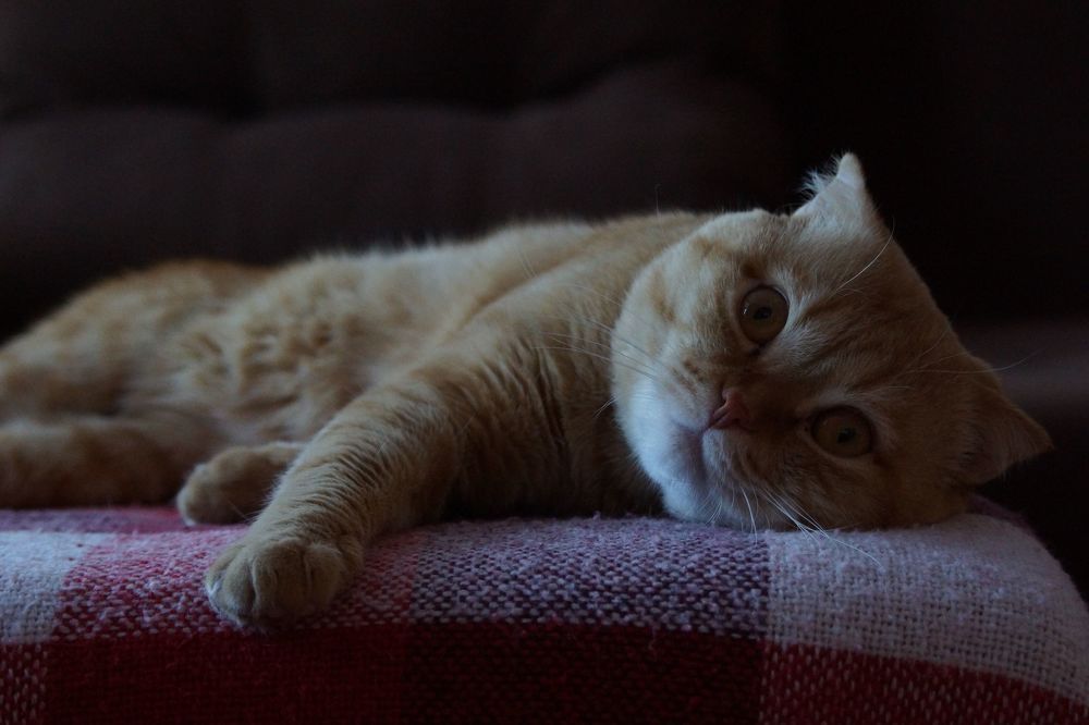 Photograph by Наталья Викторовна