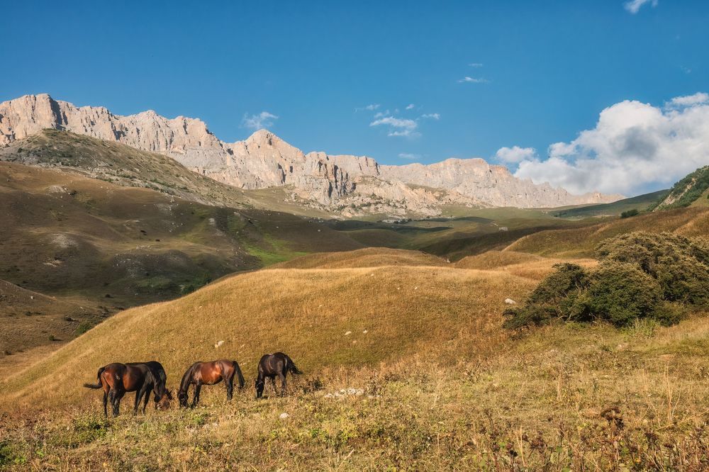 Photograph by Дудников Александр