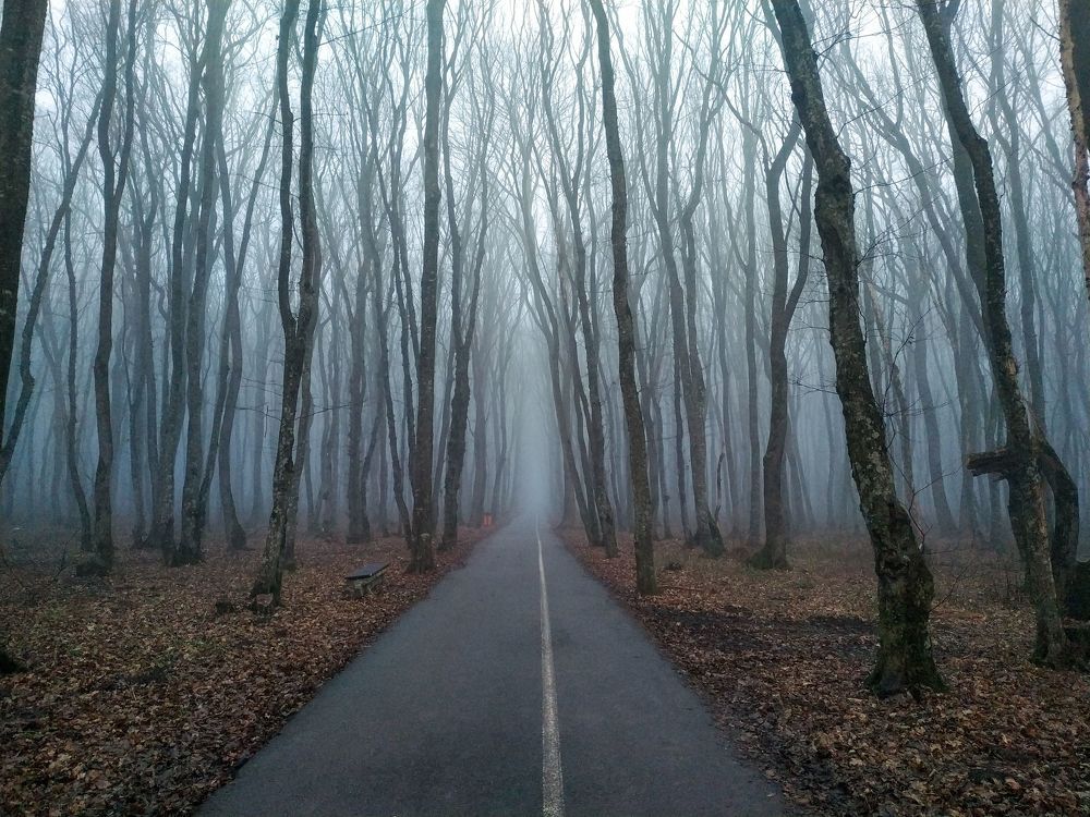 Photograph by Всеволод Маслов