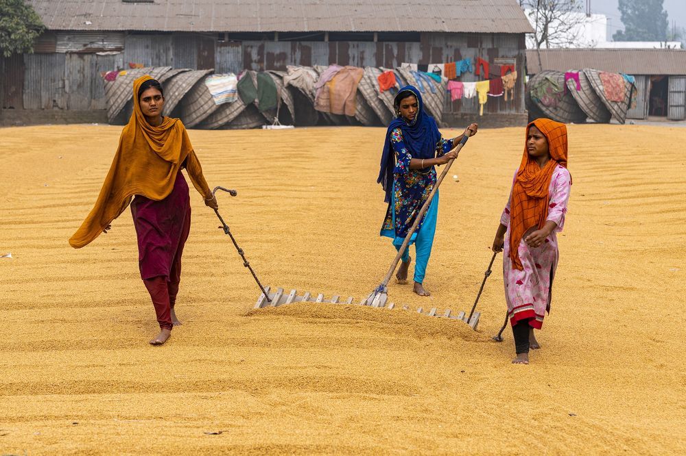Photograph by Protap Shekhor Mohanto