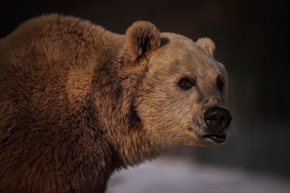 Photograph by Angelina Myasina