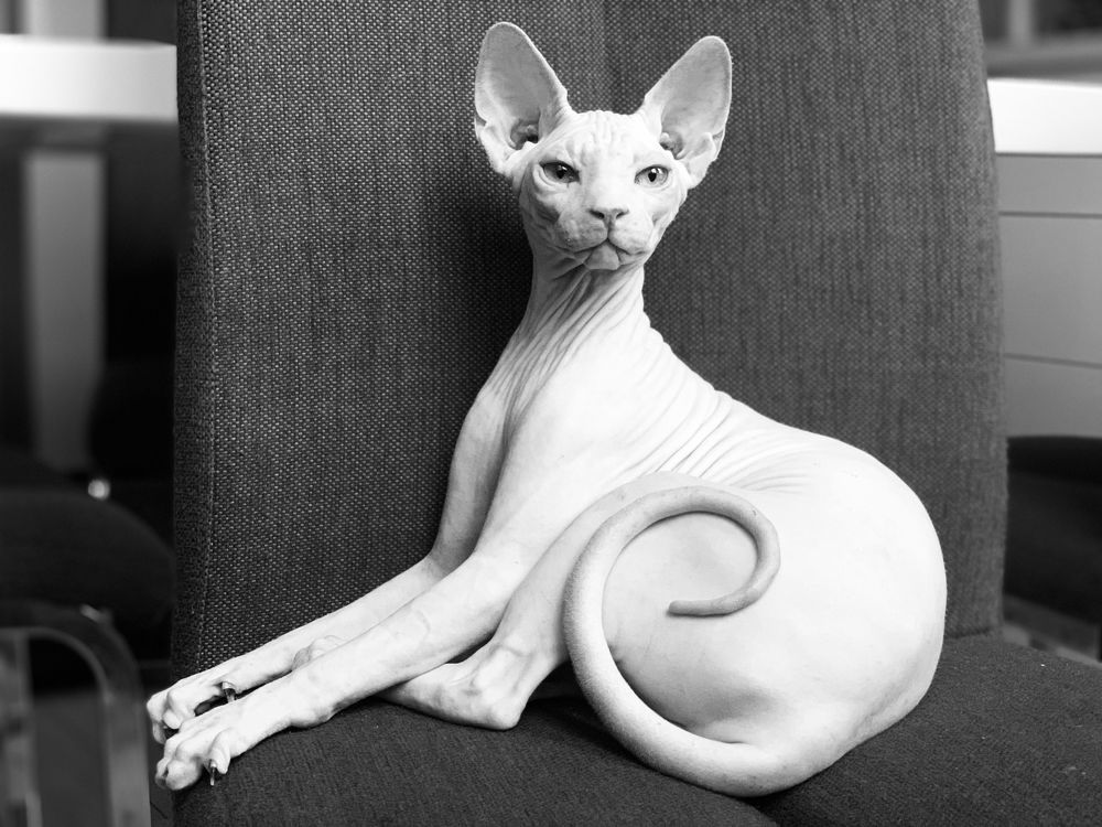 Photograph by Liliya Mikhaylova