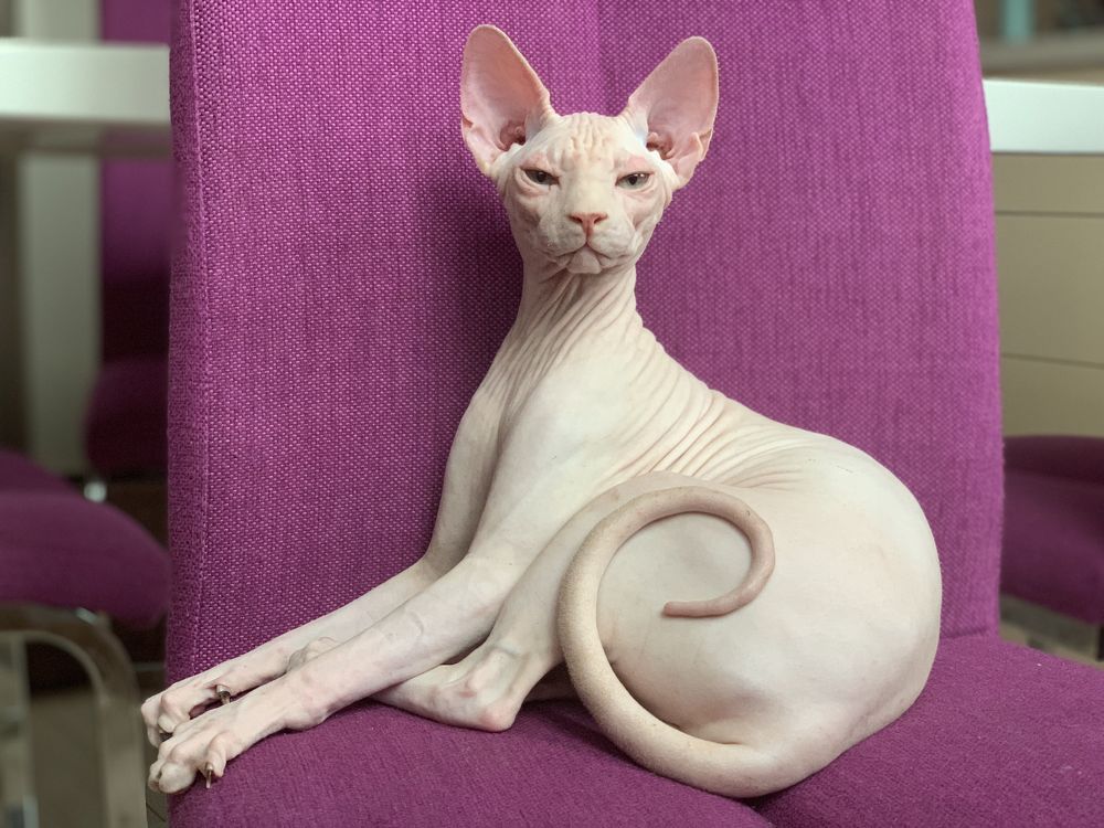 Photograph by Liliya Mikhaylova