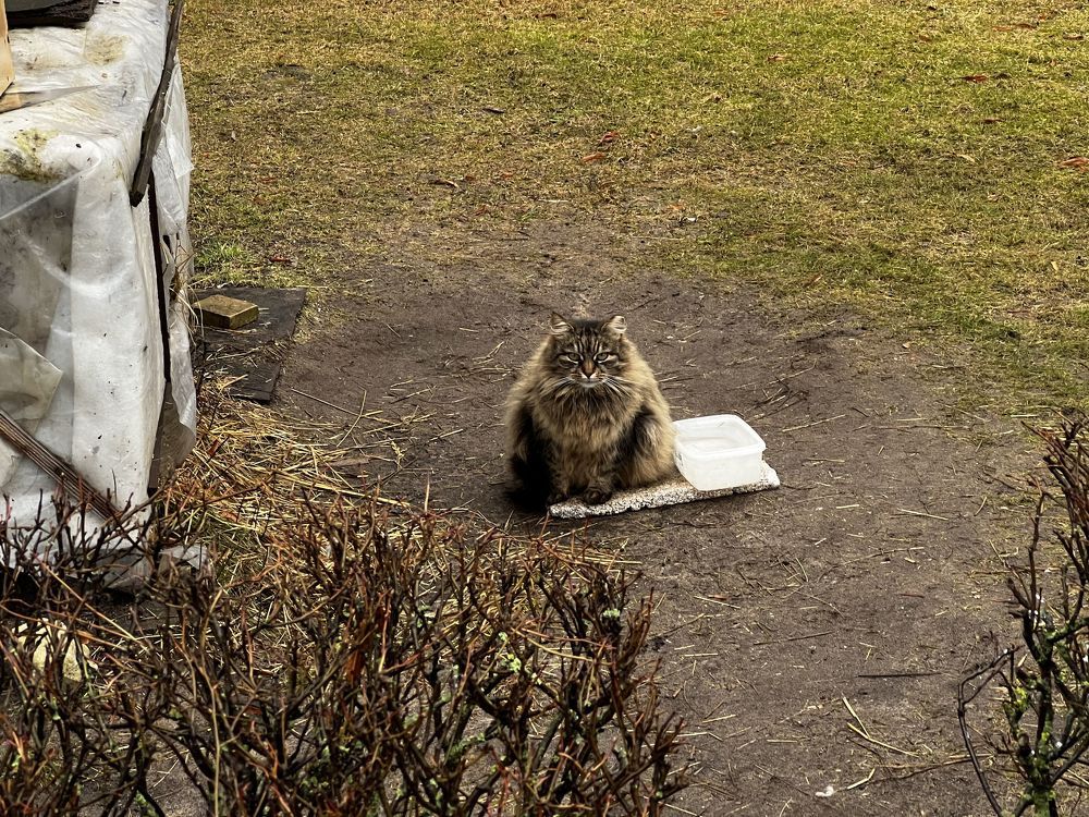 Photograph by Aleksejs Skripko