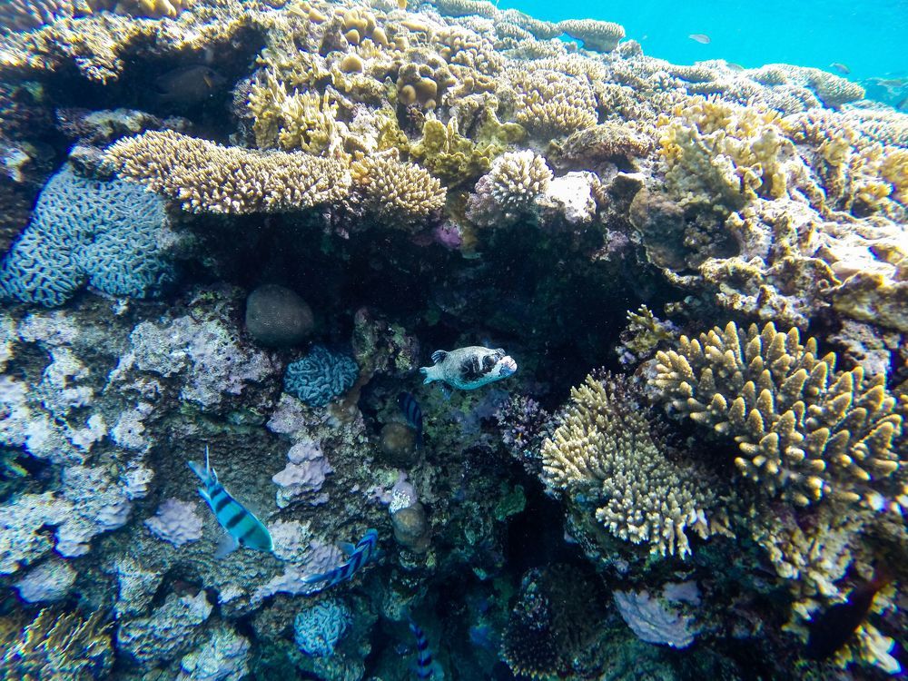 Photograph by Полина Зенькович