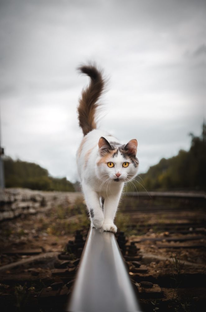 Photograph by Алексей Фурман