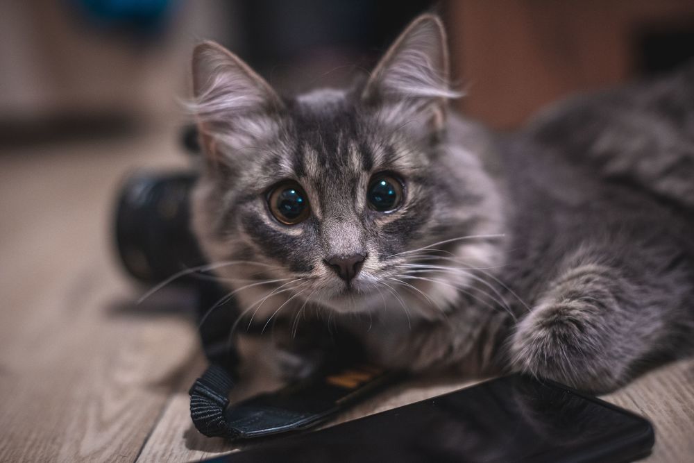 Photograph by Алексей Фурман