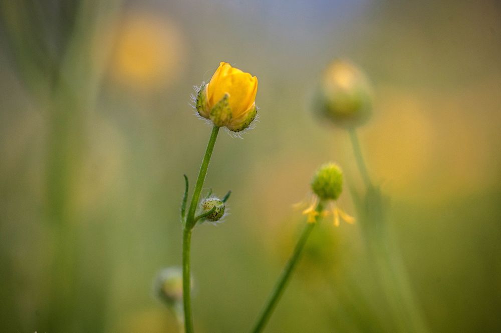 Фотография автора Юрий Кульмяков