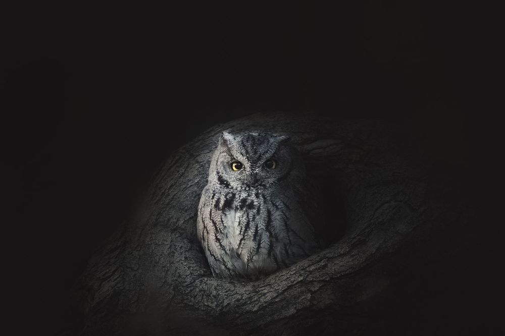 Photograph by Victoria Harris