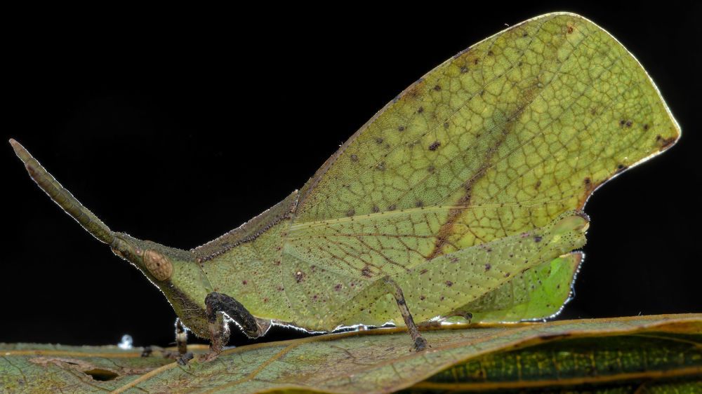 Photograph by KENNY FOONG