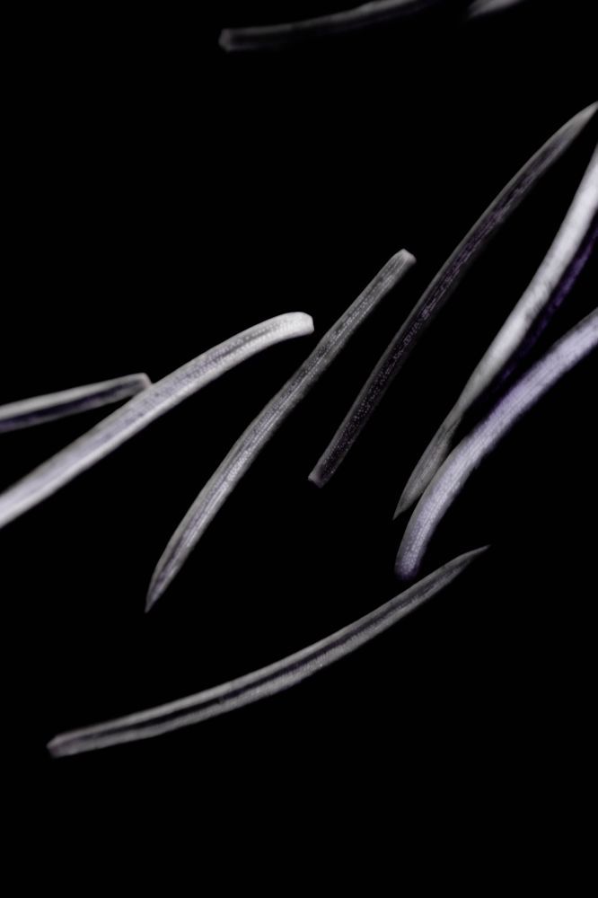 Photograph by Сергей Аникушин