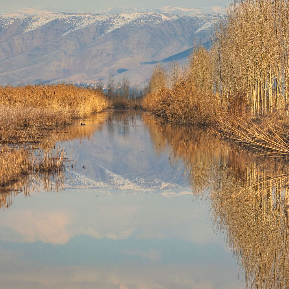 Photograph by Seif Eddine Alaa