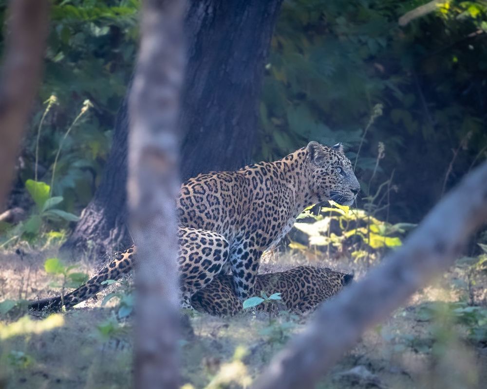 Photograph by Shiva Kumar. R