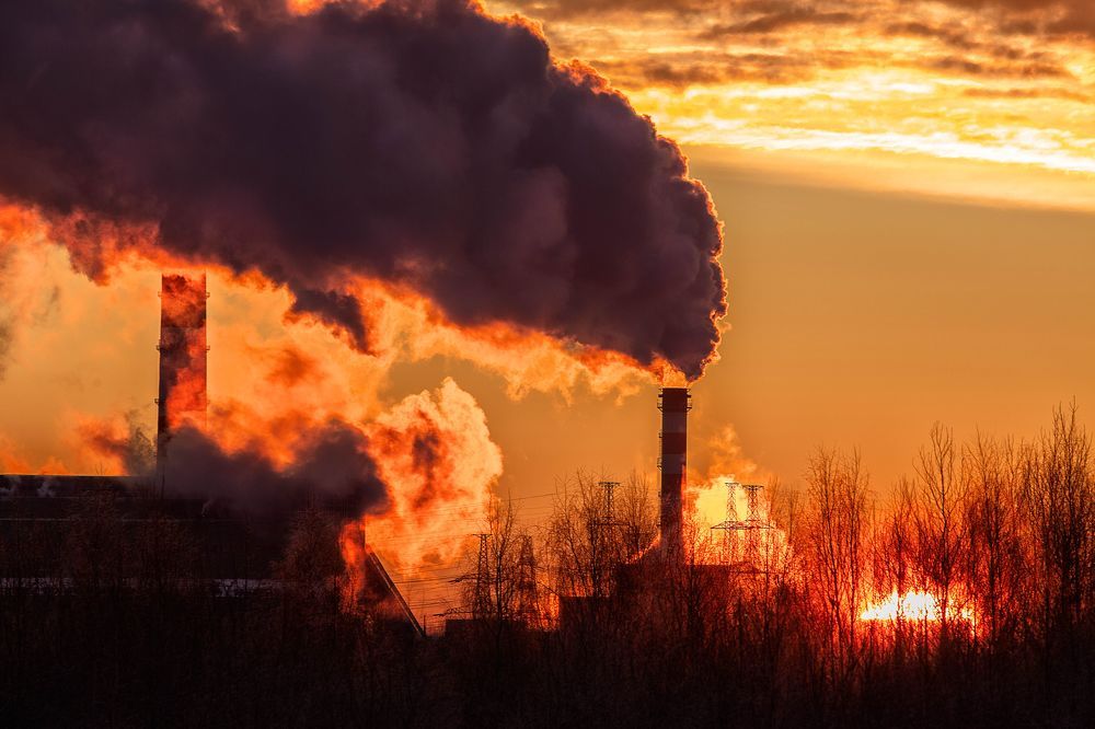 Фотография автора Дарья Могилевцева