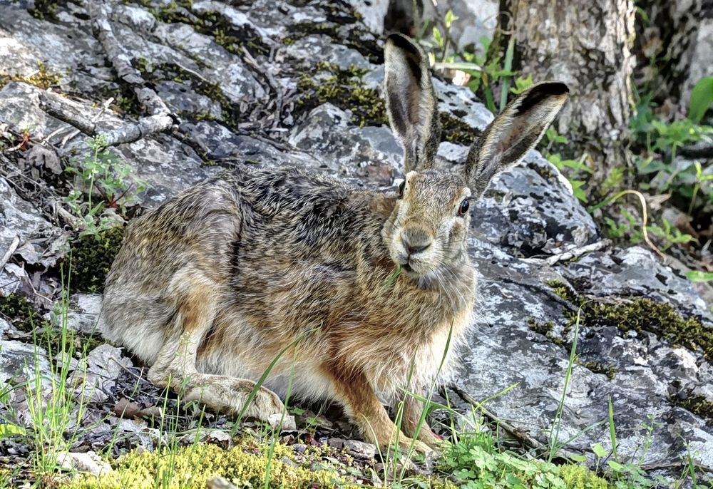 Photograph by Евгений Самулев